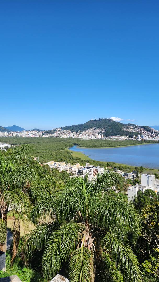 Casa, 6 quartos, 1800 m² - Foto 4