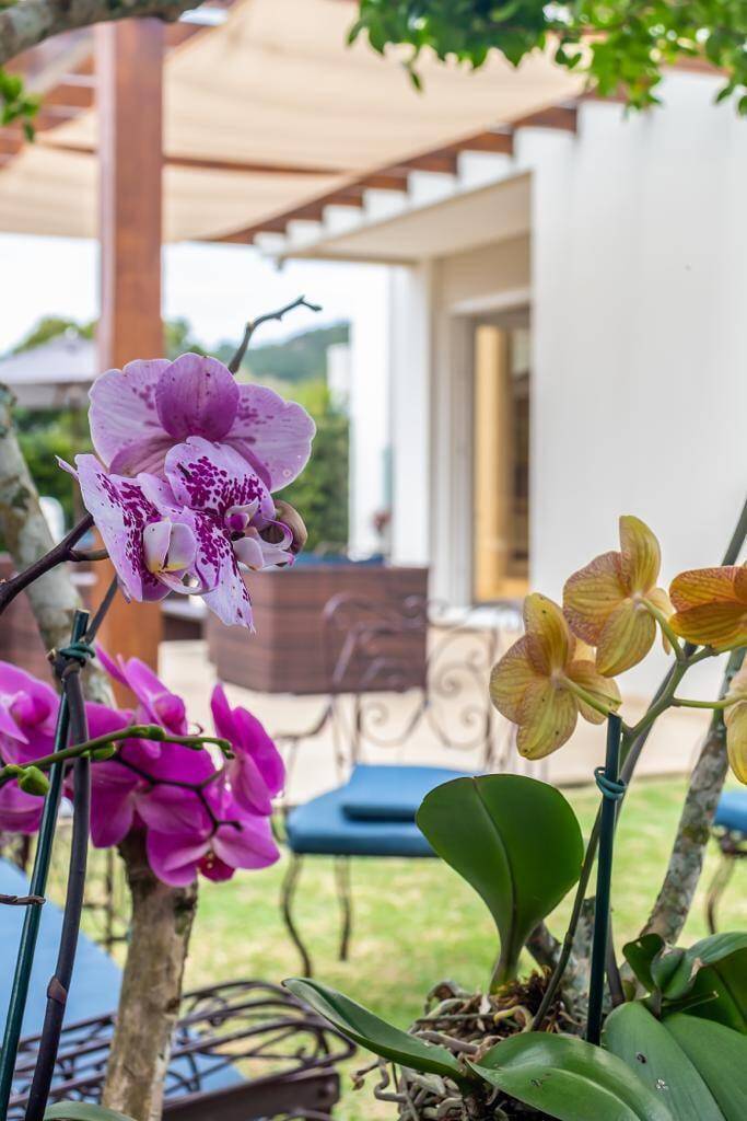 Casa, 5 quartos, 500 m² - Foto 32
