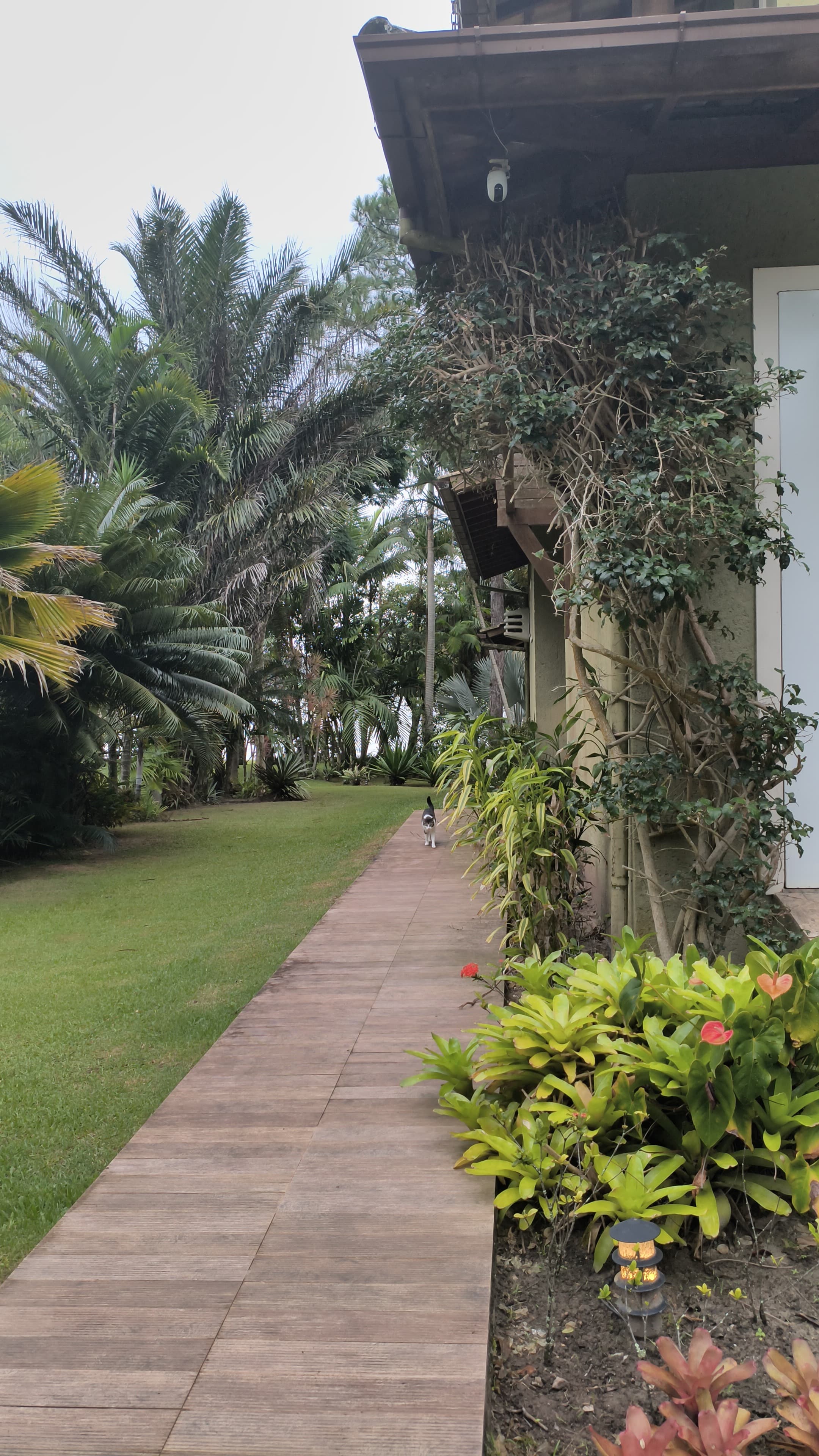 Casa, 4 quartos, 350 m² - Foto 5