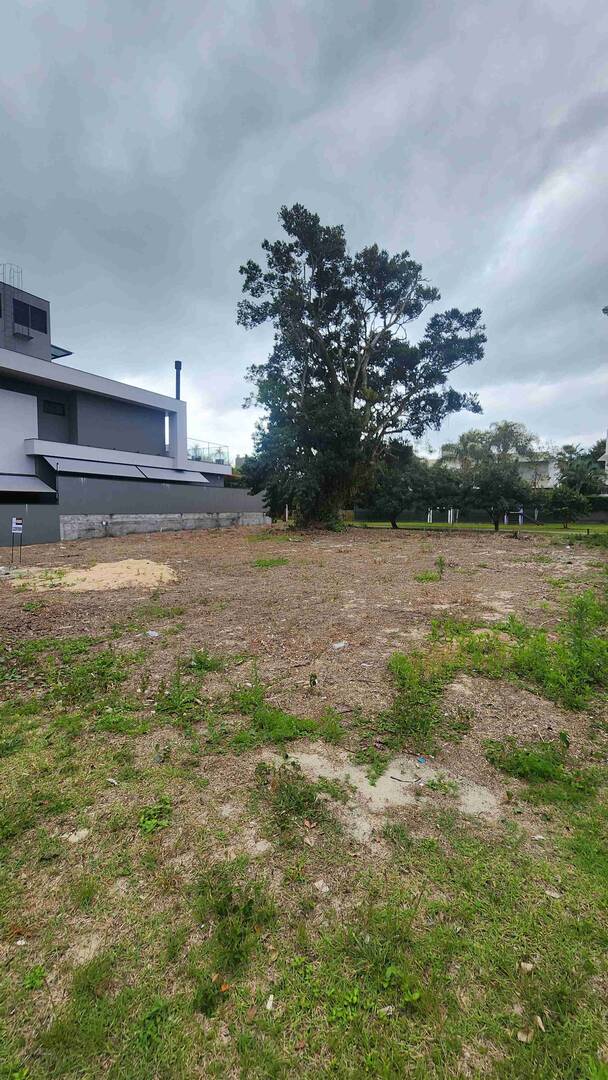 Terreno, 701 m² - Foto 2