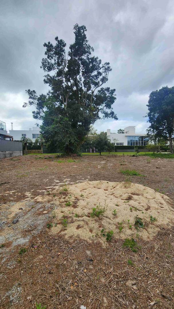 Terreno, 701 m² - Foto 3