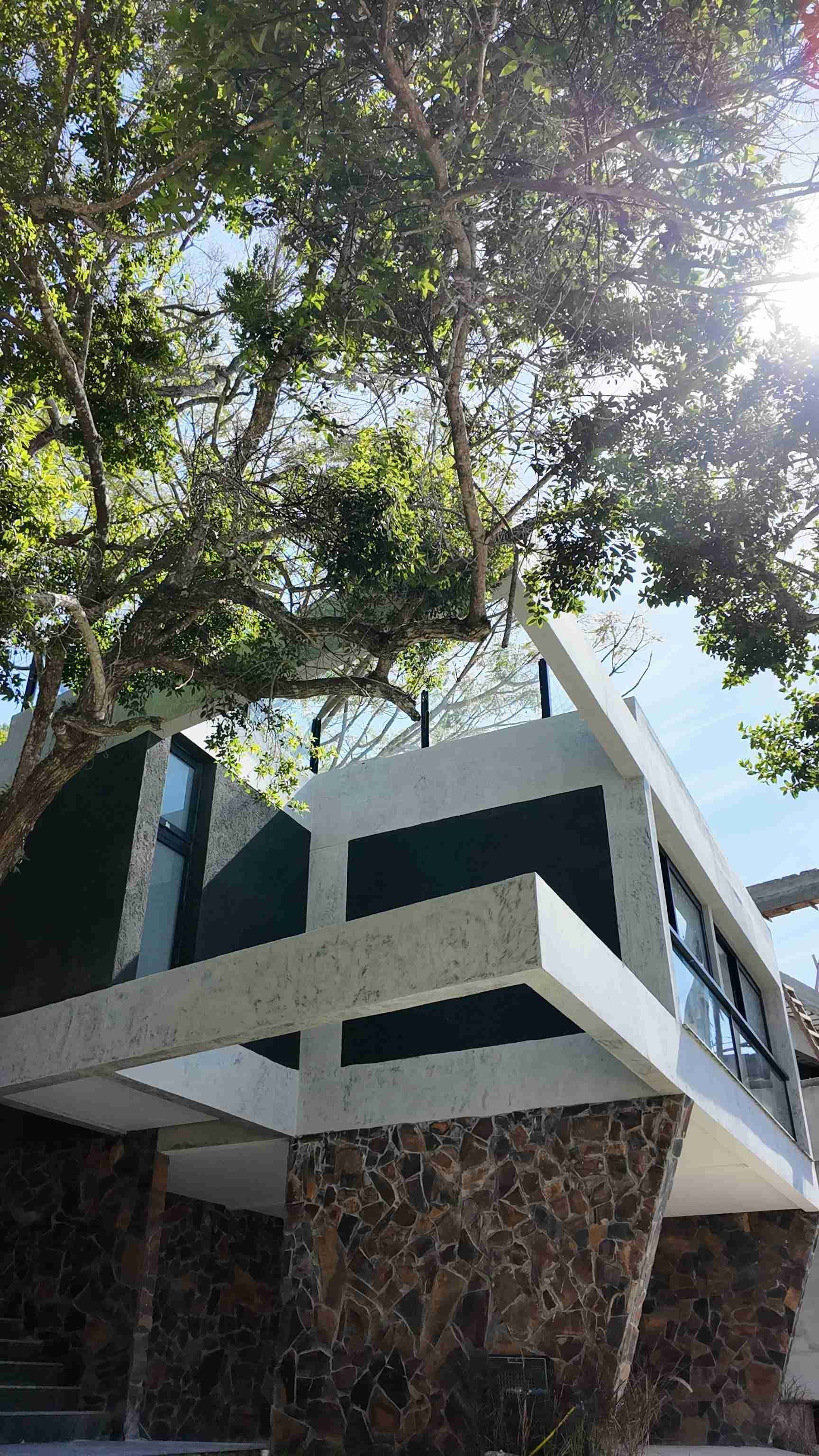 Casa, 3 quartos, 310 m² - Foto 6