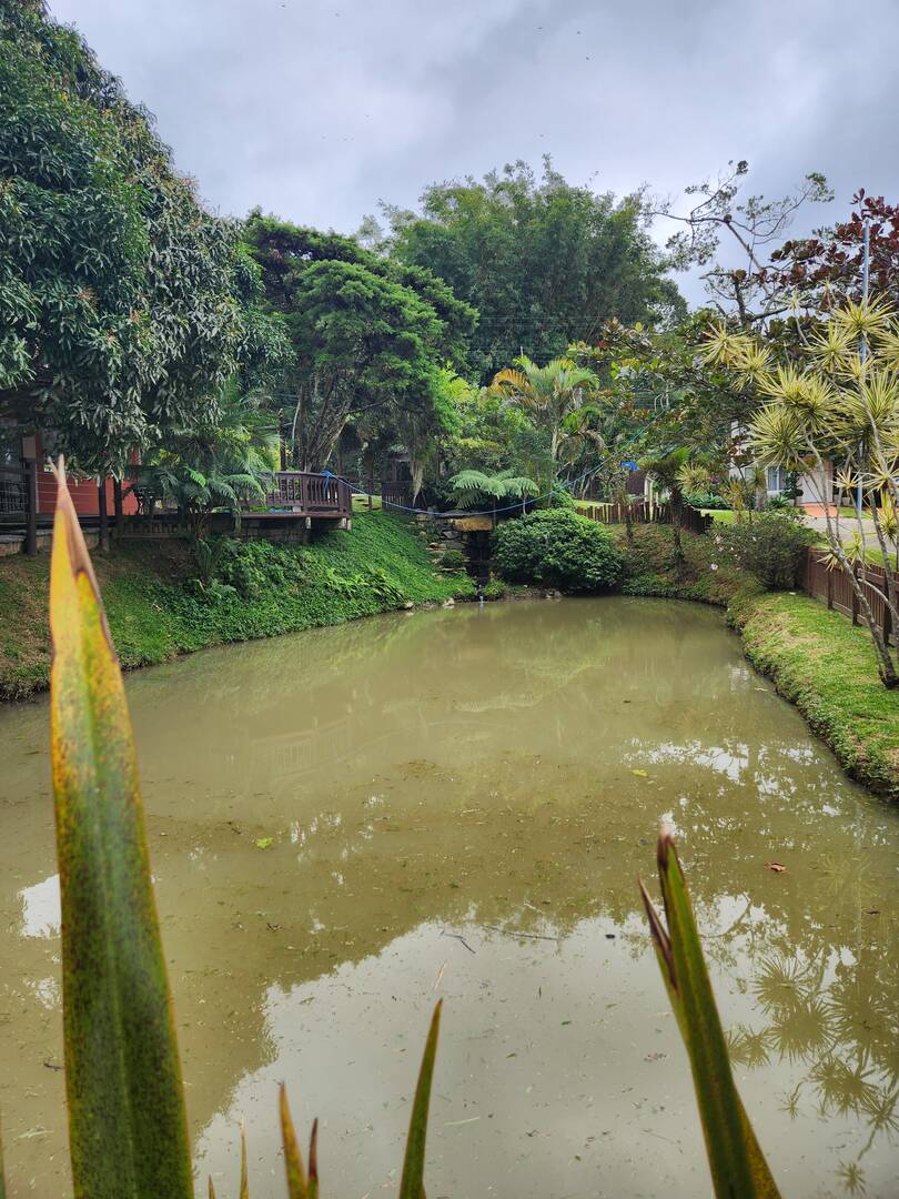 Casa, 5 quartos, 328 m² - Foto 41