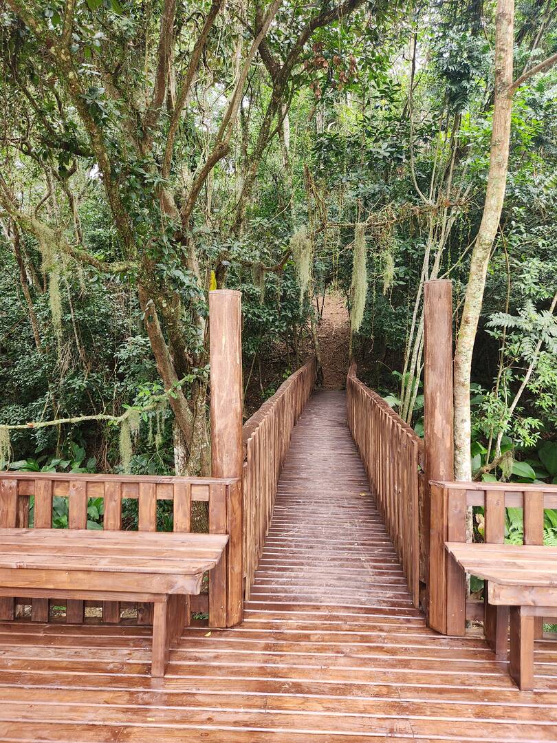 Casa, 5 quartos, 328 m² - Foto 42