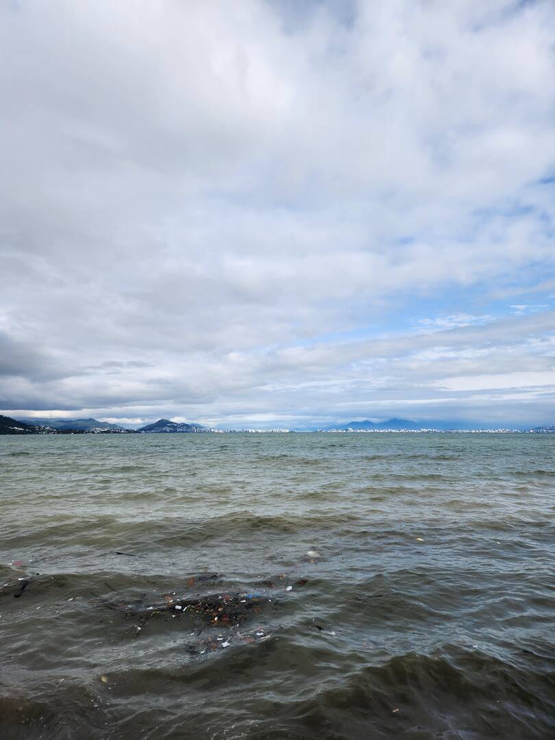 Casa, 5 quartos, 328 m² - Foto 50