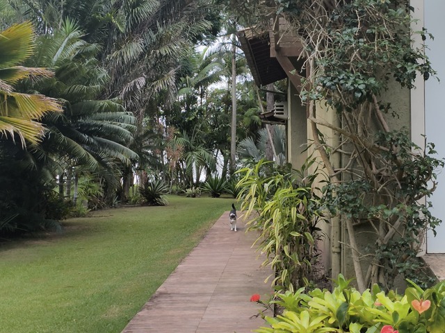 Casa para Venda em Florianópolis - 3