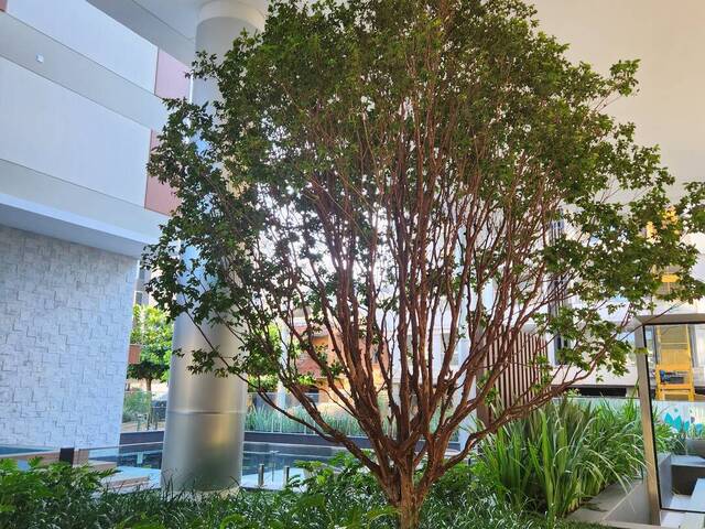 Apartamento para Venda em Florianópolis - 2