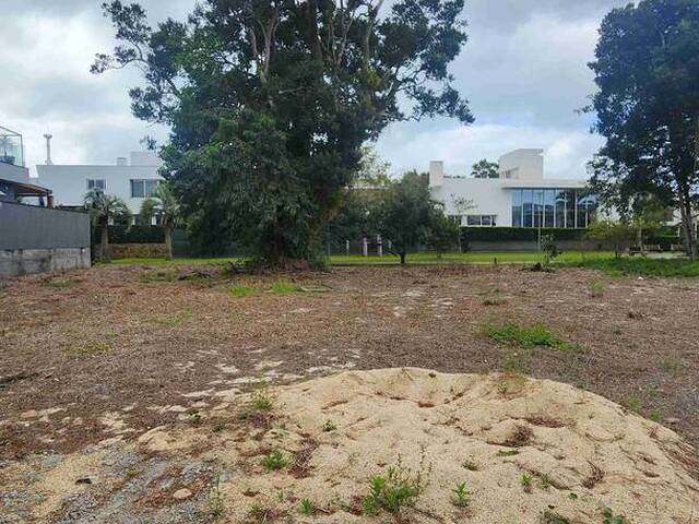 #51 - Área para Venda em Florianópolis - SC - 3